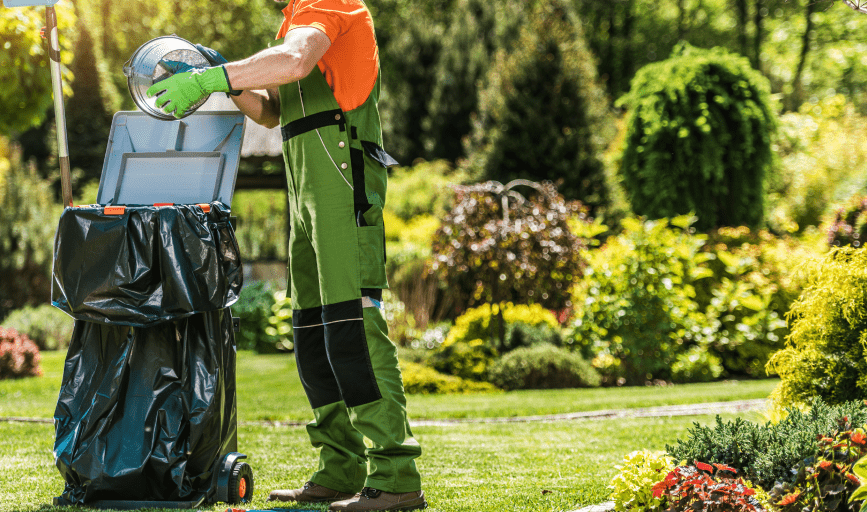 YARD CLEANUP